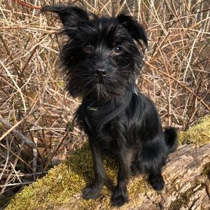 Meet your Posher, Brianne